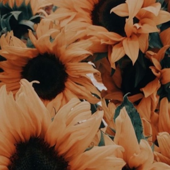 elianaflower123